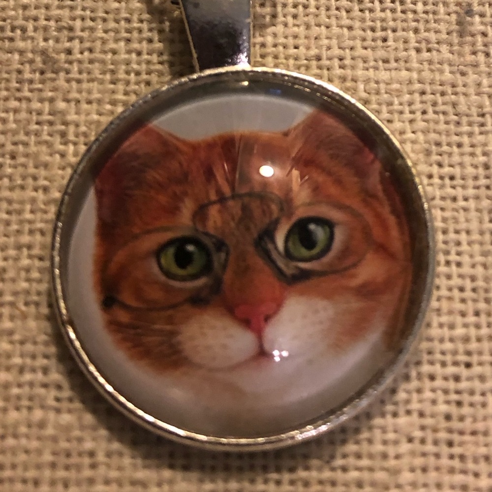 Cat pendant on silver tone chain